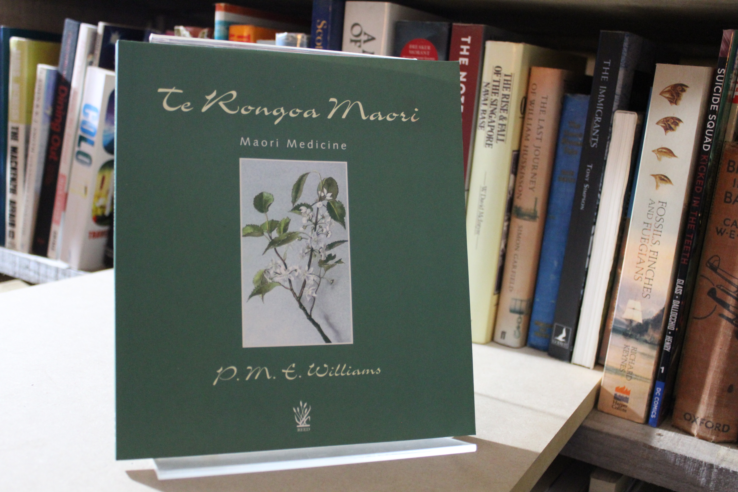 te Rongoa Maori Maori Medicine